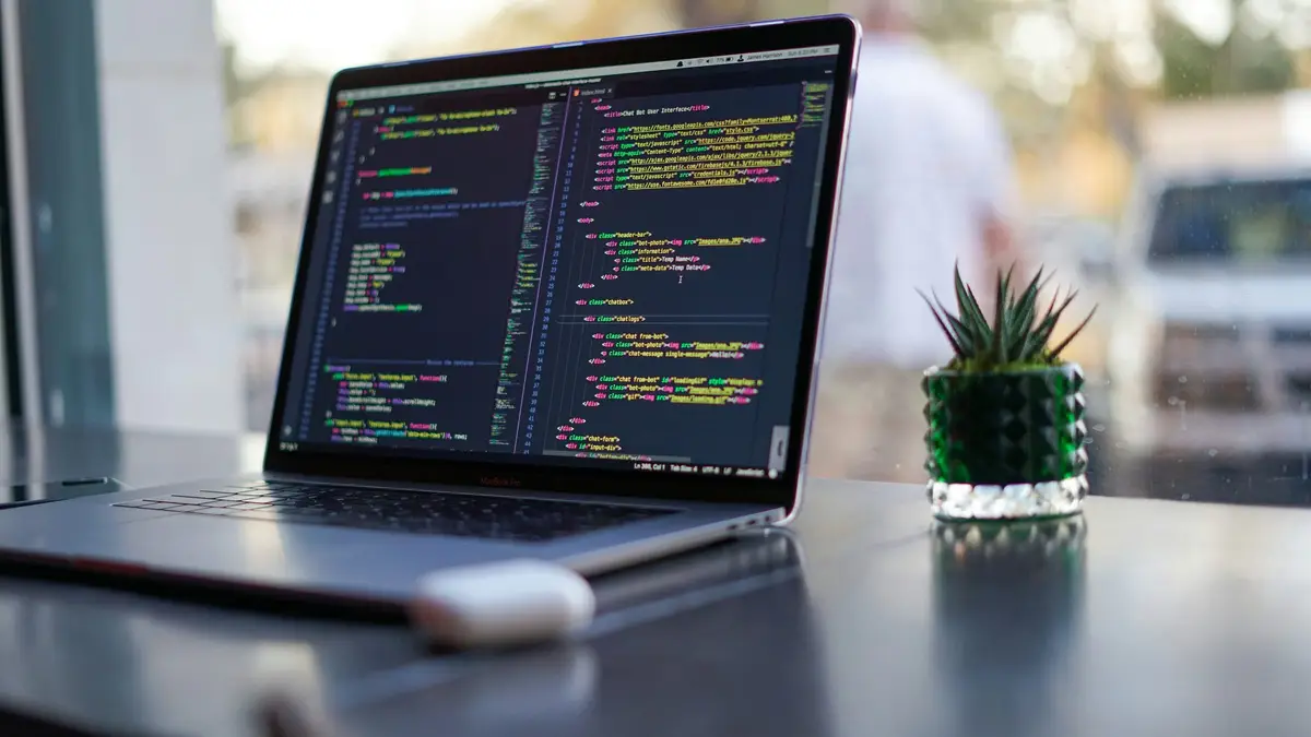 Laptop displaying code beside a small potted plant